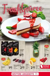 Gazetka promocyjna Selgros - Food - Gazetka - ważna od 15.03 do 15.03.2023 - strona 3 - produkty: ananas, banane, bananen, beere, beeren, beutel, dessert, desserts, eis, erdbeere, erdbeeren, erde, frucht, honig, melone, monte, püree, raspberry, reis, Schal, Schale, Ti