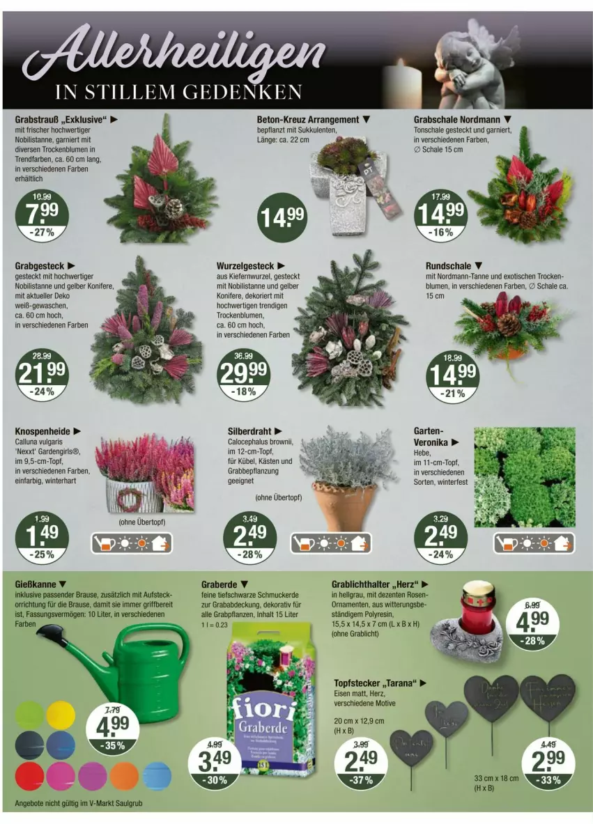 Aktueller Prospekt Vmarkt - Prospekte - von 16.10 bis 22.10.2025 - strona 20 - produkty: angebot, angebote, blume, blumen, brause, Draht, eis, elle, ente, erde, garnier, Garten, Gießkanne, Grabschale, Konifere, LG, Rana, rosen, Schal, Schale, Schmuck, Sukkulente, Ti, tisch, topf, übertopf