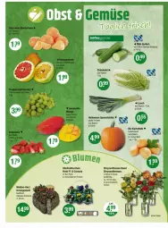 Gazetka promocyjna Vmarkt - Prospekte - Gazetka - ważna od 22.10 do 22.10.2025 - strona 8 - produkty: bio, blume, blumen, chrysanthemen, eis, früchte, gurke, gurken, kartoffel, kartoffeln, Kürbis, obst, Ti