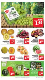 Gazetka promocyjna Marktkauf - Prospekt - Gazetka - ważna od 03.08 do 03.08.2024 - strona 6 - produkty: aprikose, aprikosen, Bau, eis, Elan, fleisch, früchte, kirsch, kirsche, kirschen, kiwi, Kiwi Gold, melone, Nektar, nektarinen, pfirsich, pfirsiche, reis, schnitten, Ti, trauben, wasser, wassermelone, ZTE