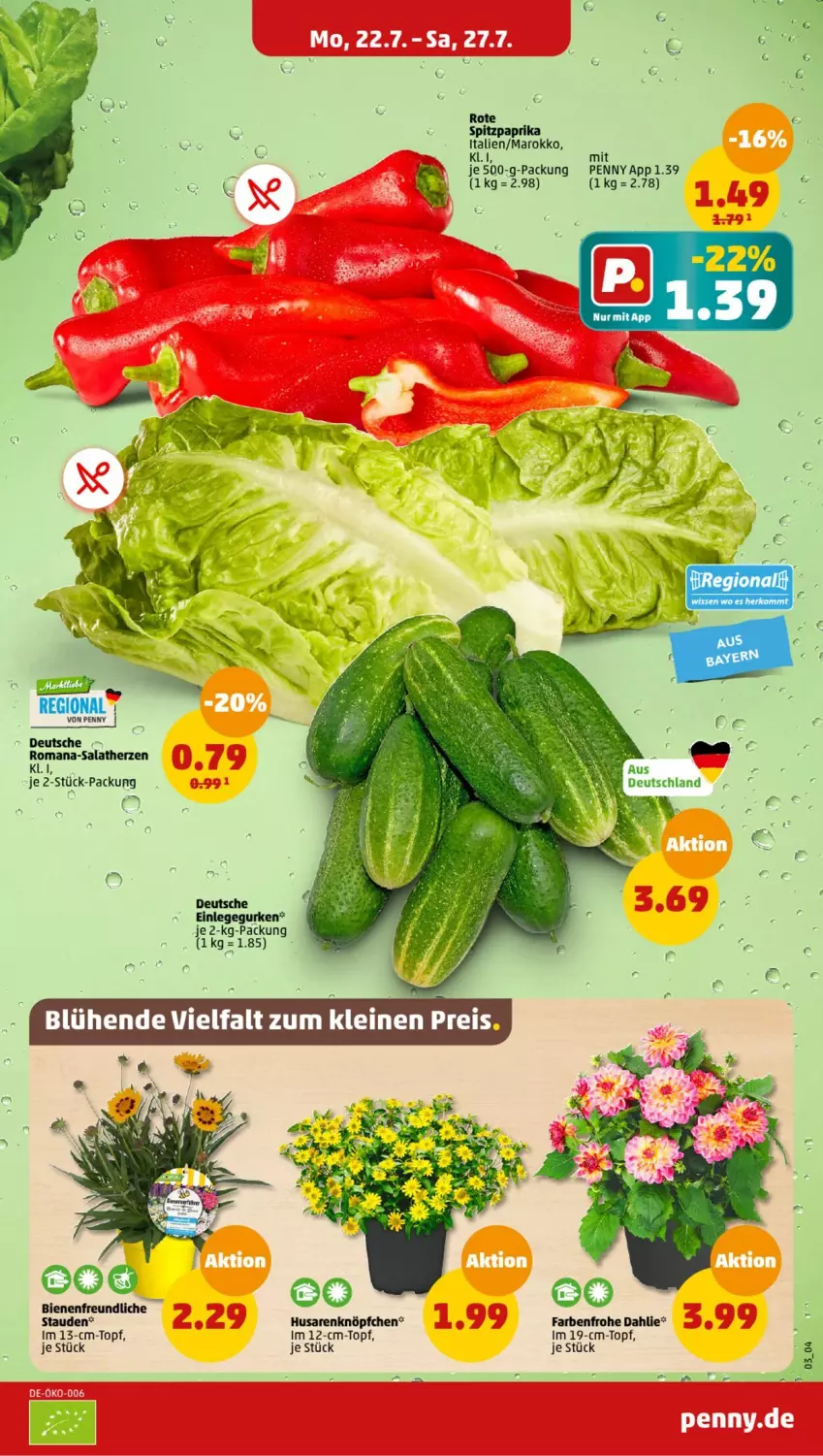 Aktueller Prospekt Penny - Prospekte - von 22.07 bis 27.07.2024 - strona 3 - produkty: dahlie, gurke, gurken, paprika, salat, salatherzen, Spitzpaprika, stauden, topf