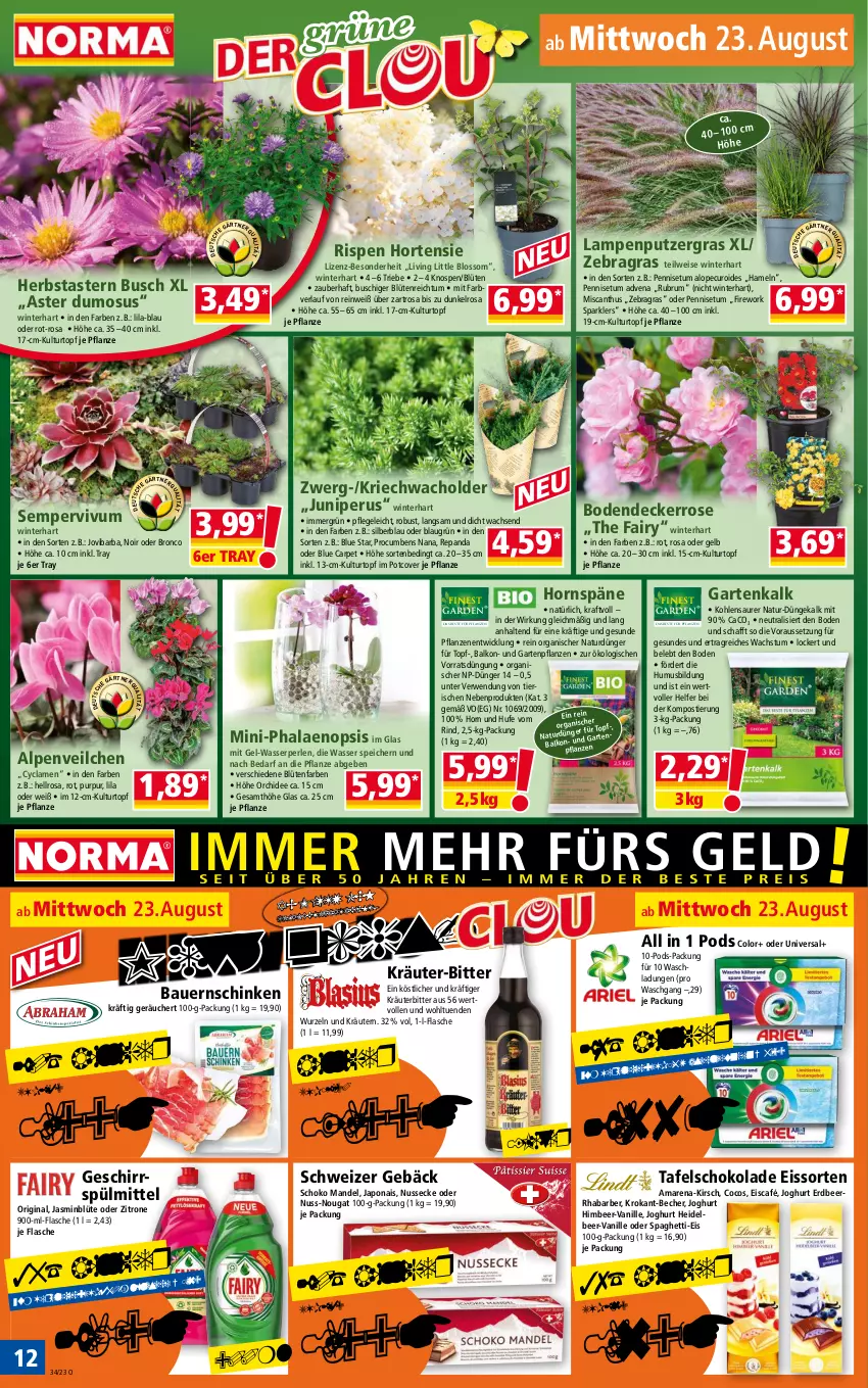 Aktueller Prospekt Norma - Norma - von 21.08 bis 28.08.2023 - strona 12 - produkty: Alpenveilchen, auer, Bau, Bauer, Bauernschinken, Becher, Blüte, cocos, decke, dünger, eis, fairy, flasche, Garten, Gartenpflanze, geschirr, geschirrspülmittel, gin, himbeer, hortensie, joghur, joghurt, kirsch, kraft, kräuter, kräutern, kulturtopf, Lampe, mandel, natur, nuss, orchidee, perlen, pflanze, pflanzen, phalaenopsis, Pods, rhabarber, rind, rum, rwe, schinken, schoko, schokolade, Sempervivum, spaghetti, spülmittel, Stier, tafelschokolade, Ti, topf, usb, vanille, wasser, WICK, zitrone