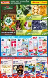 Gazetka promocyjna Norma - Norma - Gazetka - ważna od 28.08 do 28.08.2023 - strona 9 - produkty: Alwa, auer, banane, beere, beeren, bio, blueberry, bourbon, bourbon vanille, Clin, eis, eistee, elle, erde, flasche, früchte, heidelbeere, heidelbeeren, himbeer, himbeere, joghur, joghurt, kartoffel, kartoffeln, kirsch, kirsche, LG, mac, mandel, mars, melone, melonen, mineralwasser, obst, Obst und Gemüse, pfirsich, recyclingmaterial, reis, Ria, sac, saft, Schal, Schale, schoko, schokolade, speisekartoffeln, tafeltrauben, tee, Ti, tiefpreis, tisch, trauben, und gemüse, vanille, wasser, wassermelone, wassermelonen, Weiße Schokolade, zucchini