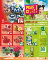 Gazetka promocyjna Edeka - Prospekte - Gazetka - ważna od 03.05 do 03.05.2025 - strona 5 - produkty: bio, decke, deka, edeka bio, nuss, Ti