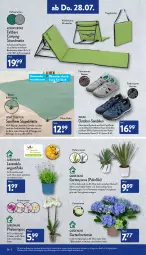 Gazetka promocyjna Aldi Nord - Aldi-Vorschau - Gazetka - ważna od 30.07 do 30.07.2022 - strona 26 - produkty: Blüte, Brei, decksohle, Garten, gin, hering, hortensie, Hylo, kühltasche, kulturtopf, Liege, mentos, obermaterial synthetik, pflanze, phalaenopsis, Ria, ring, rückenlehne, sandale, sandalen, strandmatte, Tasche, Ti, topf, tragetasche, walkx, ZTE