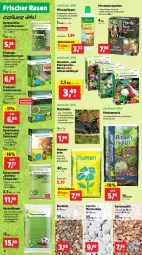 Gazetka promocyjna Thomas Philipps - Gazetka - ważna od 01.06 do 01.06.2024 - strona 2 - produkty: berliner, blume, blumen, blumenerde, dünger, eis, elle, erde, flüssigdünger, Garten, geranie, geranien, Grünpflanzen, Kraut, natur, Pellets, pflanze, pflanzen, rasen, rasendünger, rasensamen, reis, rind, rindenmulch, rosen, sac, Sport, Ti, vorteilspreis, wasser
