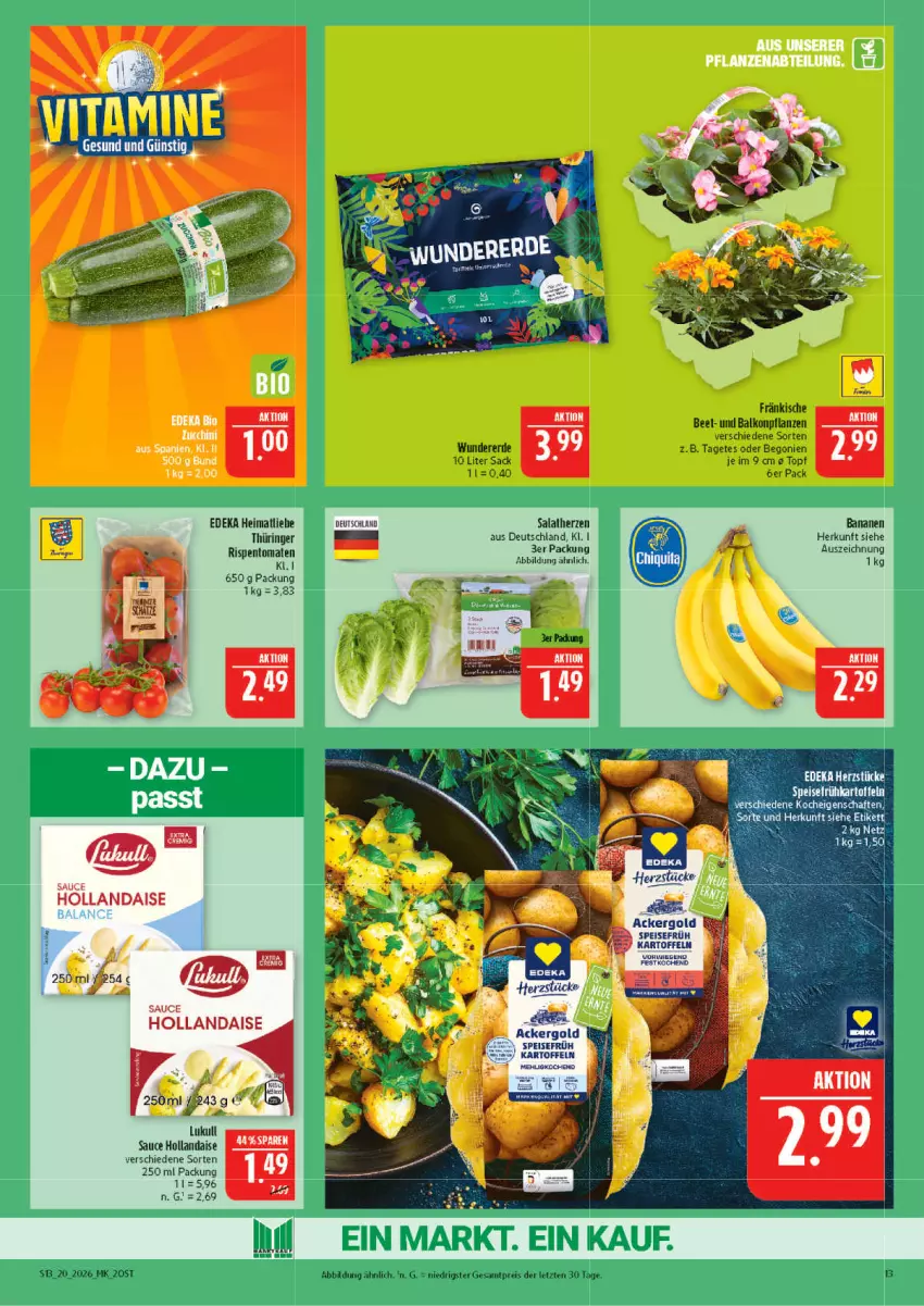 Aktueller Prospekt Marktkauf - Prospekt - von 10.05 bis 16.05.2026 - strona 13 - produkty: ackergold, balkonpflanzen, banane, bananen, Begonie, deka, eis, erde, hollandaise, kartoffel, kartoffeln, lukull, pflanze, pflanzen, reis, ring, rispentomaten, sac, salat, salatherzen, sauce, sauce hollandaise, tomate, tomaten, topf, ZTE