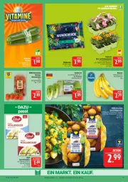 Gazetka promocyjna Marktkauf - Prospekt - Gazetka - ważna od 16.05 do 16.05.2026 - strona 13 - produkty: ackergold, balkonpflanzen, banane, bananen, Begonie, deka, eis, erde, hollandaise, kartoffel, kartoffeln, lukull, pflanze, pflanzen, reis, ring, rispentomaten, sac, salat, salatherzen, sauce, sauce hollandaise, tomate, tomaten, topf, ZTE