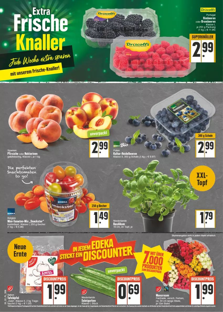 Aktueller Prospekt E Center - Angebote der Woche - von 29.08 bis 03.09.2022 - strona 8 - produkty: basilikum, Becher, beere, beeren, brombeere, brombeeren, discount, eis, fleisch, heidelbeere, heidelbeeren, himbeer, himbeere, himbeeren, Nektar, nektarinen, pfirsich, pfirsiche, pfirsiche oder, reis, Schal, Schale, snack, snacks, tafeläpfel, tee, Ti, tomate, tomaten, topf, tuner