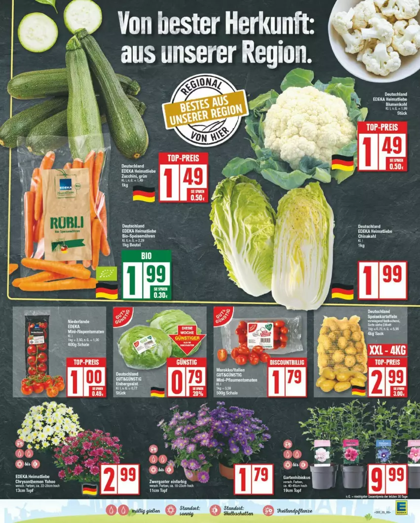 Aktueller Prospekt Edeka - Prospekte - von 12.08 bis 17.08.2024 - strona 3 - produkty: blume, blumen, blumenkohl, discount, eis, Palette, pflanze, reis, top-preis, topf