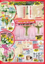 Gazetka promocyjna  - Prospekte - Gazetka - ważna od 28.03 do 28.03.2026 - strona 4 - produkty: angebot, angebote, Bau, baumwolle, blume, blumen, decke, eis, elle, Kunstblume, papier, reis, teller, Ti, wolle