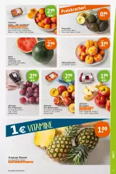 Gazetka promocyjna Tegut - Angebote der Woche - Gazetka - ważna od 24.06 do 24.06.2023 - strona 5 - produkty: ananas, angebot, angebote, aprikose, aprikosen, avocado, avocados, Bau, bio, dekoration, eis, elle, fleisch, früchte, jonagored, melone, melonen, mini wassermelonen, Nektar, nektarinen, pfirsich, pfirsiche, pflaume, pflaumen, reis, Schal, Schale, teller, Ti, wasser, wassermelone, wassermelonen