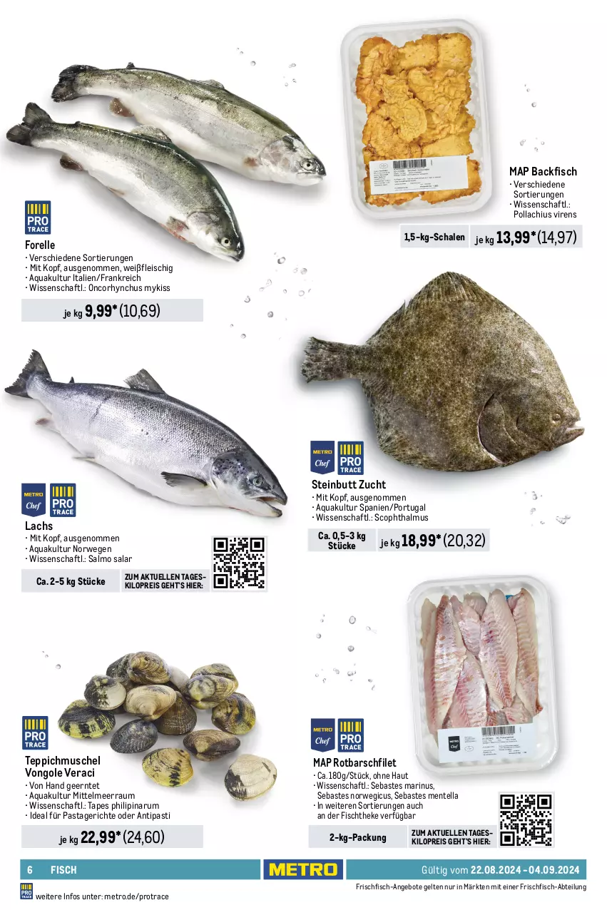 Aktueller Prospekt Metro - GastroJournal - von 22.08 bis 04.09.2024 - strona 6 - produkty: Abtei, angebot, angebote, antipasti, aqua, asti, auer, backfisch, beutel, eis, elle, ente, escal, filet, fisch, fischtheke, fleisch, forelle, frischfisch, frutti di mare, garnelen, grana, Kaiser, lachs, Metro, Muscheln, pasta, Pastagericht, Rana, reis, rel, Rotbarsch, rotbarschfilet, rum, rwe, Schal, Schale, teppich, thunfisch, Ti, Zander