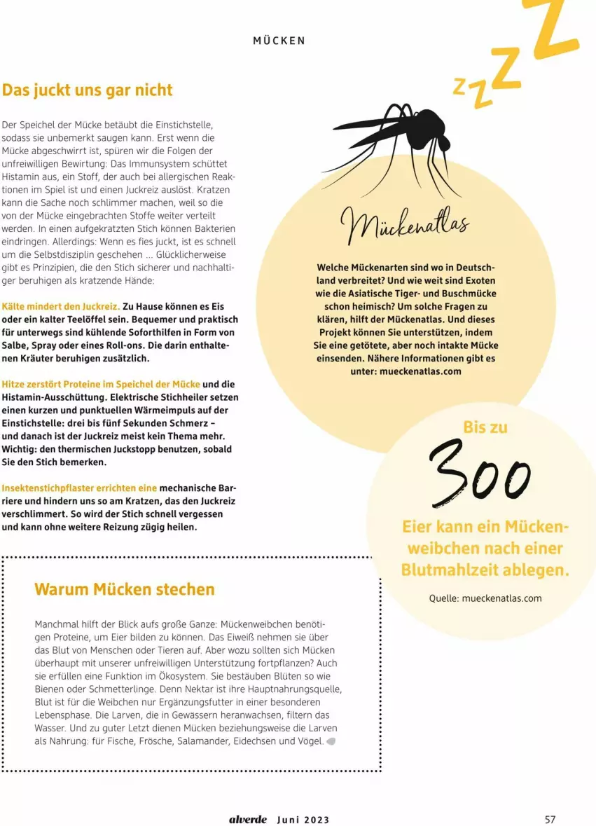 Aktueller Prospekt Dm Drogerie - Prospekte - von 01.06 bis 30.06.2023 - strona 57 - produkty: Alverde, Blüte, Brei, eier, eis, elle, erde, fisch, fische, gsw, HP, kräuter, LG, Löffel, mac, Mett, Nektar, pflanze, pflanzen, pflaster, ring, roll-on, rum, rwe, sac, Schmetterling, sekt, Soda, tee, Ti, Tiere, tisch, wasser, ZTE