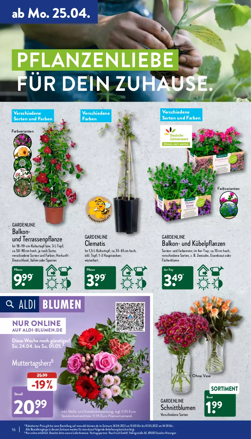 Aktueller Prospekt Aldi Nord - Aldi-Aktuell - von 25.04 bis 30.04.2022 - strona 16 - produkty: aldi, blume, blumen, Blüte, Brei, eis, elle, erde, hero, Kraut, kübelpflanzen, kulturtopf, LG, pflanze, pflanzen, reis, Ria, Ti, topf, uhr, Vase