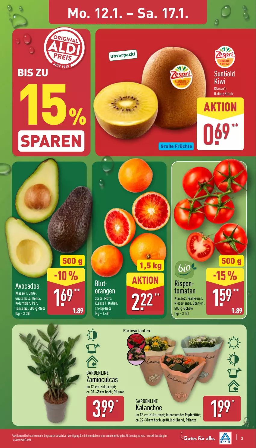 Aktueller Prospekt Aldi Nord - Von Montag - von 12.01 bis 17.01.2026 - strona 3 - produkty: avocado, avocados, Blutorange, früchte, gin, Kalanchoe, kiwi, kiwifruit, kulturtopf, orange, orangen, papier, Papiertüte, pflanze, Ria, rispentomaten, Schal, Schale, Ti, tomate, tomaten, topf, Tüte, ZTE
