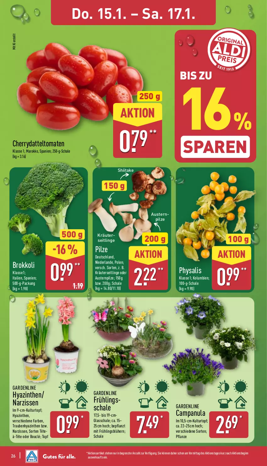Aktueller Prospekt Aldi Nord - Von Montag - von 12.01 bis 17.01.2026 - strona 30 - produkty: aust, Austern, brokkoli, Campanula, datteltomaten, gin, kräuter, Kräuterseitlinge, kulturtopf, Narzissen, pflanze, Physalis, pilze, Schal, Schale, Ti, tomate, tomaten, topf, trauben, ZTE