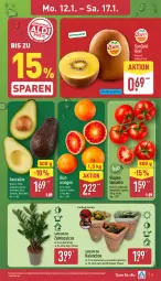 Gazetka promocyjna Aldi Nord - Von Montag - Gazetka - ważna od 17.01 do 17.01.2026 - strona 3 - produkty: avocado, avocados, Blutorange, früchte, gin, Kalanchoe, kiwi, kiwifruit, kulturtopf, orange, orangen, papier, Papiertüte, pflanze, Ria, rispentomaten, Schal, Schale, Ti, tomate, tomaten, topf, Tüte, ZTE