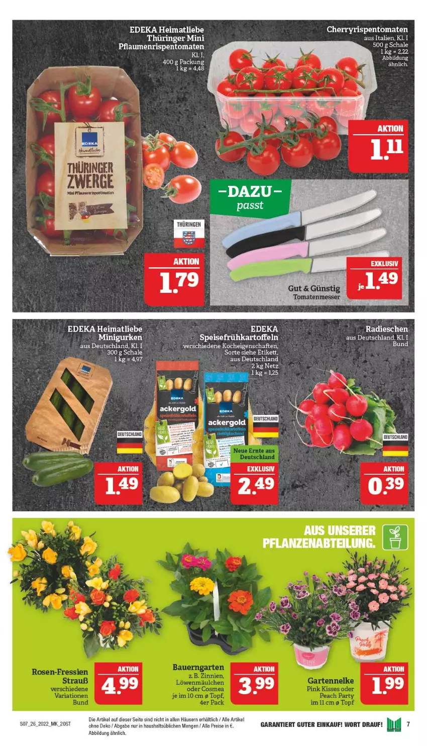 Aktueller Prospekt Marktkauf - Prospekt - von 26.06 bis 02.07.2022 - strona 11 - produkty: deka, eis, gurke, gurken, pflanze, pflanzen, pflaume, pflaumen, radieschen, reis, ring, rispentomaten, Schal, Schale, Ti, tomate, tomaten