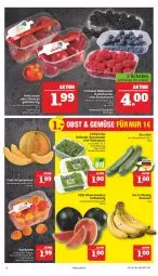 Gazetka promocyjna Marktkauf - Prospekt - Gazetka - ważna od 02.07 do 02.07.2022 - strona 10 - produkty: aprikose, aprikosen, beere, beeren, eis, fleisch, heidelbeere, heidelbeeren, himbeer, himbeere, himbeeren, melone, Nektar, nektarinen, Rana, Schal, Schale