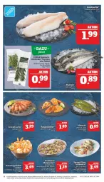 Gazetka promocyjna Marktkauf - Prospekt - Gazetka - ważna od 02.07 do 02.07.2022 - strona 14 - produkty: deka, dressing, filet, fisch, frischfisch, garnelen, grill, Holz, Krebs, Makrele, Rauch, rel, Ria, salat, schwein, spargel, Ti, wein, zwiebel, zwiebeln