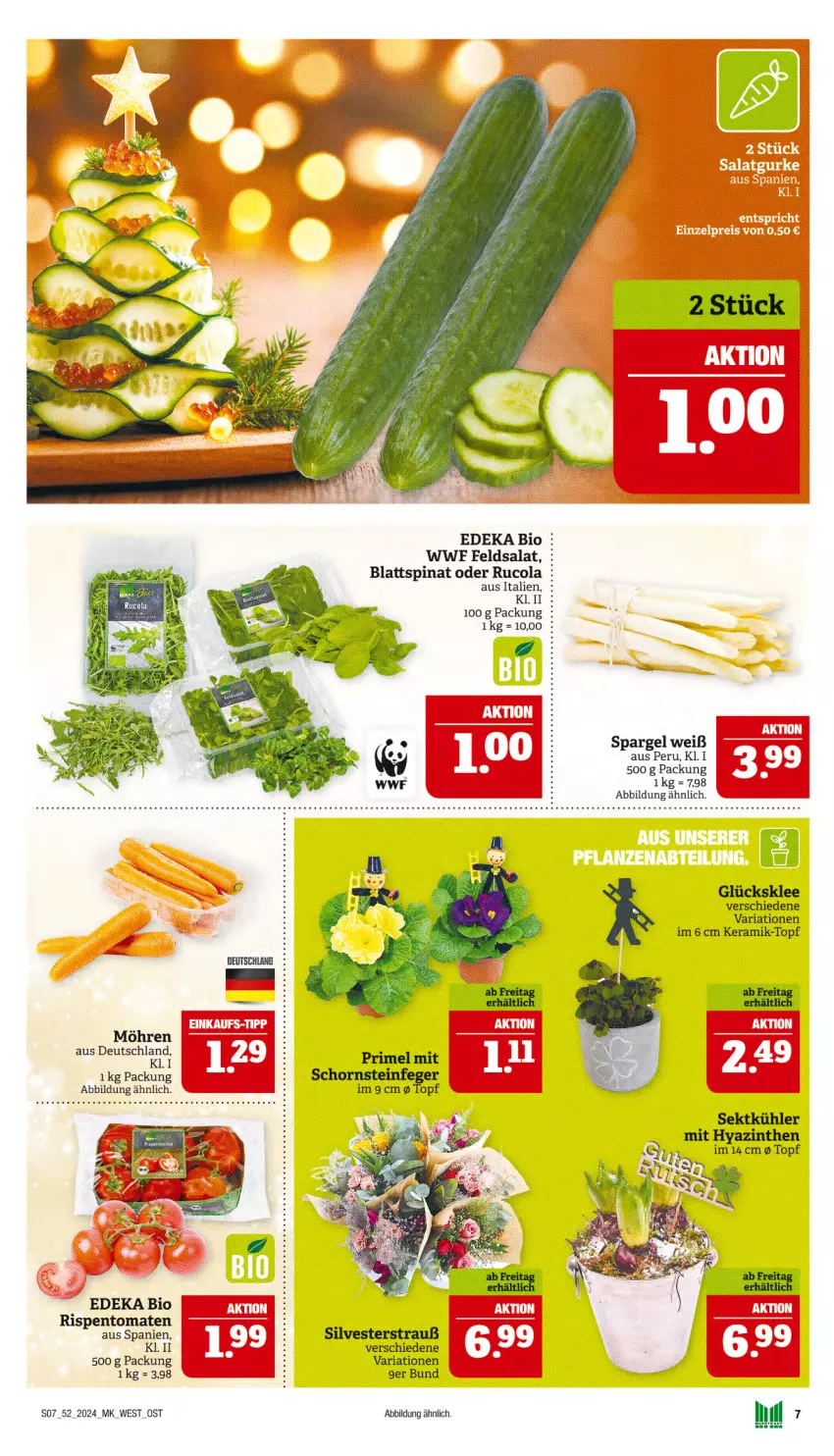 Aktueller Prospekt Marktkauf - Prospekt - von 22.12 bis 28.12.2024 - strona 7 - produkty: bio, blattspinat, cola, deka, edeka bio, feldsalat, glücksklee, möhren, Ria, rispentomaten, rucola, salat, Schornsteinfeger, sekt, spargel, spinat, Ti, tomate, tomaten, topf