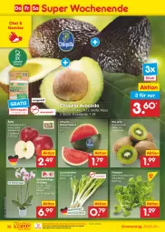 Gazetka promocyjna Netto Marken-Discount - Filial-Angebote - Gazetka - ważna od 25.03 do 25.03.2023 - strona 32 - produkty: asti, avocado, bestpreis, beutel, Blüte, chiquita, eis, feldsalat, kiwi, Lauchzwiebel, lauchzwiebeln, melone, Mett, ndk, obst, orchidee, reis, rwe, salat, Schal, Schale, Schmetterling, schmetterlingsorchidee, Ti, topf, wasser, wassermelone, zwiebel, zwiebeln
