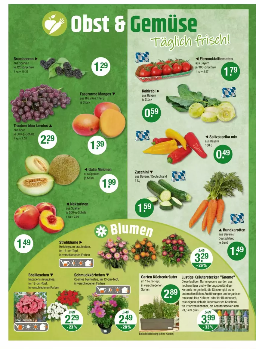 Aktueller Prospekt Vmarkt - Prospekte - von 12.06 bis 18.06.2025 - strona 8 - produkty: blume, blumen, cocktail, eier, Garten, karotten, kohlrabi, Körbchen, kräuter, küche, Küchen, Lusti, ndk, paprika, paprika mix, pflanze, pflanzen, Schal, Schale, Spitzpaprika, Ti, tomate, tomaten, topf, zucchini