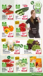 Gazetka promocyjna Wasgau - Gazetka - ważna od 28.06 do 28.06.2025 - strona 9 - produkty: apfel, auer, Berger, beutel, bio, bunte salate, chips, cocktail, Eichblattsalat, eis, erde, fisch, Frühkartoffeln, Garten, gurke, gurken, kartoffel, kartoffeln, kohlrabi, Müller, natur, natura, orange, paprika, paprika rot, radieschen, Rauch, reis, ring, salat, salate, Schal, Schale, seeberger, speisefrühkartoffeln, tee, Ti, tomate, tomaten, wein