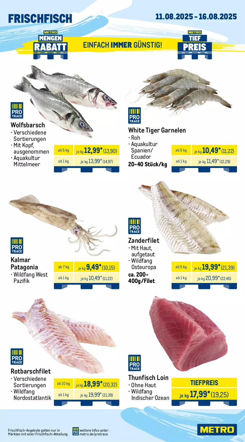 Aktueller Prospekt Metro - Wochen-Angebote - von 11.08 bis 16.08.2025 - strona 5 - produkty: Abtei, angebot, angebote, aqua, beef, brustfilet, burger, curry, eis, filet, filets, fisch, fleisch, frischfisch, garnelen, gyros, hähnchenbrust, hähnchenbrustfilet, honig, kotelett, lack, Metro, paprika, reis, rind, Rotbarsch, rotbarschfilet, Schal, Schale, spareribs, thunfisch, Ti, tiefpreis, Wild, wolfsbarsch, Zander