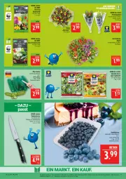 Gazetka promocyjna Marktkauf - Prospekt - Gazetka - ważna od 11.04 do 11.04.2026 - strona 11 - produkty: beere, beeren, bio, blume, blumen, blumenerde, deka, discount, eis, erde, gurke, gurken, heidelbeere, heidelbeeren, messer, mini-gurken, obst, reis, sac, salat, Salatmix, Ti, ZTE