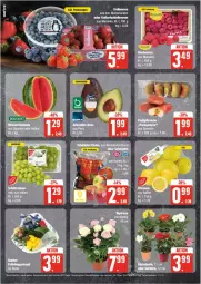 Gazetka promocyjna Edeka - Prospekte - Gazetka - ważna od 04.05 do 04.05.2024 - strona 4 - produkty: beere, beeren, eis, erdbeere, erdbeeren, reis, tafeltrauben, Ti, trauben, ZTE