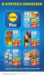 Gazetka promocyjna Lidl - Aktionsprospekt - Gazetka - ważna od 11.02 do 11.02.2023 - strona 49 - produkty: alesto, angebot, auer, Bau, Bauer, brot, bürste, bürsten, coupon, coupons, Dentalux, eis, natur, Nektar, nuss, reis, saft, schnitzel, Ti, walnuss, walnusskerne, zahnbürste, zahnbürsten, ZTE