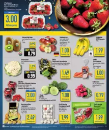 Gazetka promocyjna Diska - Gazetka - ważna od 06.04 do 06.04.2024 - strona 6 - produkty: aktionspreis, ball, banane, bananen, Becher, blume, blumen, blumenkohl, champignon, champignons, deka, discount, eis, elle, feinschmecker, kartoffel, kartoffeln, kiwi, kohlrabi, lion, möhren, nuss, pflaume, pflaumen, Pflaumen-Tomaten, radieschen, reis, salat, snack, speisekartoffeln, tafeläpfel, Ti, tomate, tomaten