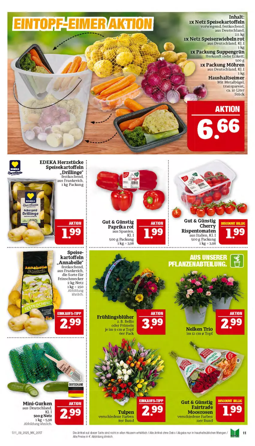 Aktueller Prospekt Marktkauf - Prospekt - von 23.02 bis 01.03.2025 - strona 11 - produkty: ackergold, bügel, deka, eimer, eis, elle, feinschmecker, gurke, gurken, kartoffel, kartoffeln, mini-gurken, möhren, paprika, paprika rot, Primeln, reis, rispentomaten, rosen, speisekartoffeln, Speisezwiebeln, suppe, suppen, Ti, tomate, tomaten, topf, zwiebel, zwiebeln