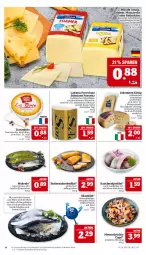 Gazetka promocyjna Marktkauf - Prospekt - Gazetka - ważna od 01.03 do 01.03.2025 - strona 16 - produkty: asti, brie, butter, butterkäse, Cap, dressing, eis, elle, filet, fisch, fleisch, französischer weichkäse, frischfisch, früchte, Käse, kirsch, latte, Makrele, matjes, Matjesfilet, meeresfrüchte, milch, mozzarella, natur, Provolone, Rauch, reis, rel, Ria, salz, schnittkäse, Spezi, Ti, tisch, torte, weichkäse, ZTE