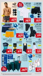 Gazetka promocyjna Marktkauf - Prospekt - Gazetka - ważna od 01.03 do 01.03.2025 - strona 40 - produkty: Arbeitssocken, eier, eis, mac, reis, retroshorts, shirt, shorts, sneaker, sneakersocken, socken, Sport, sportsocken, T-Shirt, tee, Ti, trolley