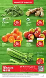 Gazetka promocyjna Lidl - Aktionsprospekt - Gazetka - ważna od 07.01 do 07.01.2023 - strona 3 - produkty: Abtei, angebot, bio, discount, eis, elle, frucht, ingwer, magazin, obst, orange, orangen, reis, spinat, stauden, Ti, und gemüse