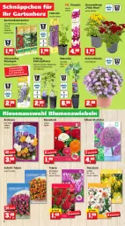 Gazetka promocyjna Thomas Philipps - Prospektwerbung - Gazetka - ważna od 01.10 do 01.10.2022 - strona 4 - produkty: beere, beeren, Behälter, blume, blumen, Blumentreppe, Blüte, boss, Brei, brombeere, brombeeren, Container, dünger, edelstahl, eis, elle, ente, flieder, gabel, Garten, heinz, himbeer, himbeere, himbeeren, Holz, johannisbeere, Johannisbeeren, jumbo, kirsch, Narzissen, obst, pflanze, reis, Ria, Schere, schnäppchen, Spaten, Stachelbeeren, Teleskop, Ti, wein, Winterschutz, zwiebel, zwiebeln