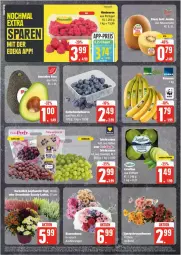 Gazetka promocyjna Edeka - Prospekte - Gazetka - ważna od 21.09 do 21.09.2024 - strona 6 - produkty: Elan, jumbo, kiwi, topf, ZTE