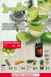Gazetka promocyjna Selgros - Food - Gazetka - ważna od 02.08 do 02.08.2023 - strona 3 - produkty: ananas, angebot, angebote, beutel, dessert, desserts, eis, frucht, gurke, LG, minze, monte, Physalis, reis, Schal, Schale, Ti