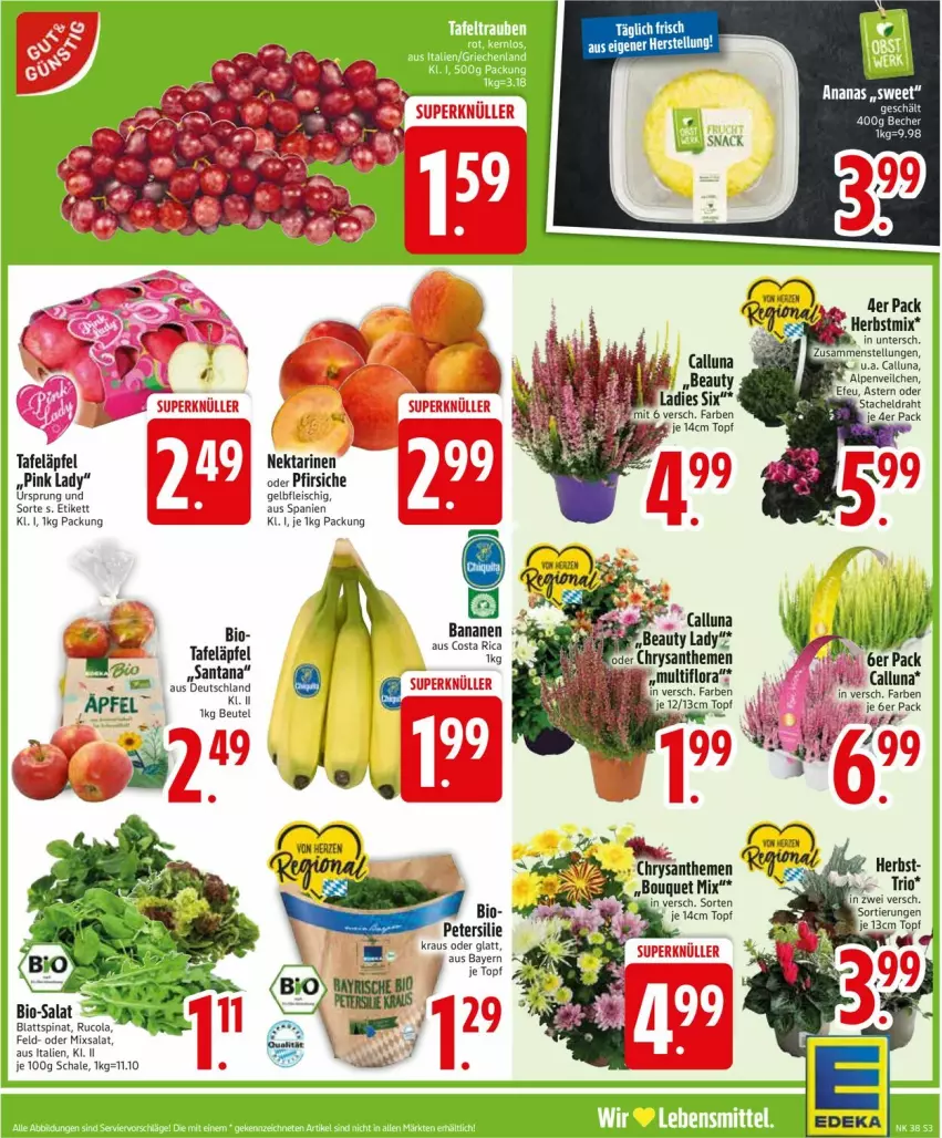 Aktueller Prospekt Edeka - Prospekte - von 15.09 bis 20.09.2025 - strona 5 - produkty: Alpenveilchen, ananas, apfel, beutel, bio, chrysanthemen, Draht, eis, fleisch, Nektar, nektarinen, oder pfirsiche, petersilie, pfirsich, pfirsiche, Pink Lady, salat, Schal, Schale, tafeläpfel, Ti, topf