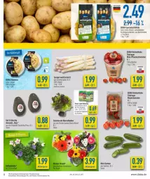 Gazetka promocyjna Diska - Prospekte - Gazetka - ważna od 21.05 do 21.05.2022 - strona 5 - produkty: ackergold, aktionspreis, avocado, ball, Becher, burger, deka, eis, fisch, gurke, gurken, kartoffel, kartoffeln, knorr, mini-gurken, pflaume, pflaumen, reis, ring, rispentomaten, salat, Schal, Schale, spargel, speisekartoffeln, terrine, Ti, tomate, tomaten