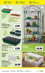 Gazetka promocyjna Lidl - Ab in den Garten - Gazetka - ważna od 01.05 do 01.05.2022 - strona 15 - produkty: auer, basilikum, erde, fenster, Garten, Gewächshaus, gurke, gurken, kokos, korb, kraft, kräuter, paprika, Parkside, pfeffer, regal, rwe, schnittlauch, Ti, tomate, tomaten