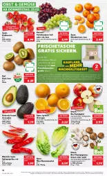 Gazetka promocyjna Kaufland - Gazetka - ważna od 01.03 do 01.03.2023 - strona 16 - produkty: angebot, avocado, avocados, beere, beeren, bio, braun, champignon, champignons, erdbeere, erdbeeren, gutschein, kerze, kiwi, mandarine, mandarinen, obst, orange, orangen, paprika, Romanasalat, salat, Schal, Schale, Spitzpaprika, Sushi, tafeläpfel, tafeltrauben, Tasche, taschen, Tchibo, telefon, Ti, trauben, trolli, ZTE