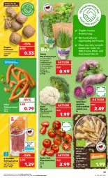 Gazetka promocyjna Kaufland - Gazetka - ważna od 01.03 do 01.03.2023 - strona 43 - produkty: angebot, angebote, asti, auer, basilikum, bio, Bluccoli, blume, blumen, blumenkohl, broccoli, chili, geback, Geflügel, kartoffel, kartoffeln, kräuter, natur, obst, petersilie, rispentomaten, salami, schnittlauch, Süßkartoffeln, Ti, tomate, tomaten, topf, topf ø 12 cm, trolli, und gemüse, würstchen