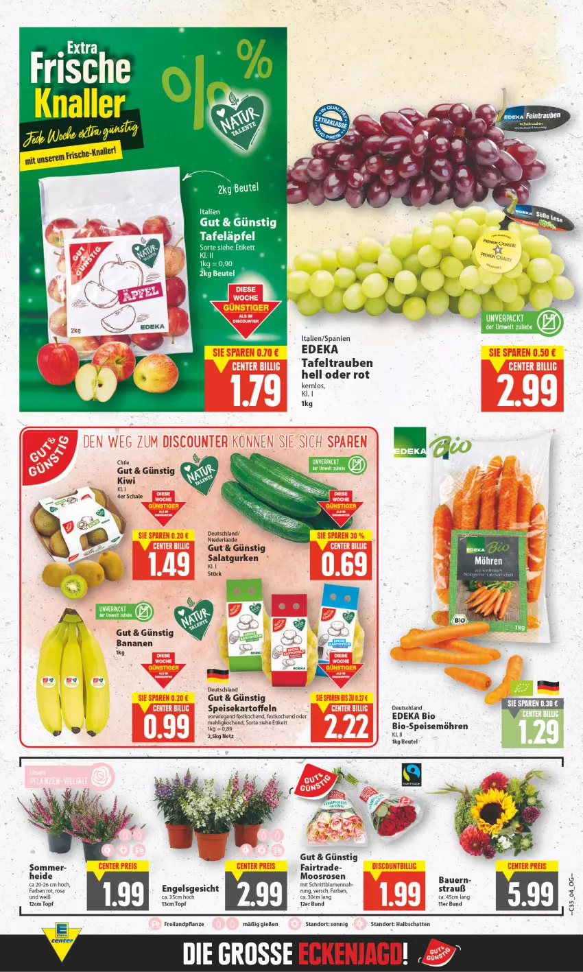 Aktueller Prospekt E Center - Angebote der Woche - von 29.08 bis 03.09.2022 - strona 4 - produkty: auer, banane, bananen, Bau, Bauer, beutel, bio, blume, blumen, deka, edeka bio, eis, gurke, gurken, kartoffel, kartoffeln, kiwi, mehl, möhren, pflanze, rosen, salat, Salatgurke, salatgurken, Schal, Schale, speisekartoffeln, speisemöhren, tafeläpfel, tafeltrauben, Ti, topf, trauben