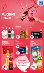 Gazetka promocyjna Getraenke Hoffmann - Prospekte - Gazetka - ważna od 27.01 do 27.01.2024 - strona 3 - produkty: Afri Cola, Alwa, Bad, Bad Liebenwerda, bio, bionade, brause, coca-cola, cola, eis, fassbrause, fever-tree, flasche, frucht, gerolsteine, gerolsteiner, glasflasche, hochwald, krombache, krombacher, limo, limonade, mineralwasser, natur, natürliches mineralwasser, reis, rel, Selters, Sofa, Spreequell, steiner, Steinsieker, tee, Ti, volvic, wasser, zucker