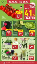 Gazetka promocyjna Aldi Nord - Von Montag - Gazetka - ważna od 21.06 do 21.06.2025 - strona 26 - produkty: angebot, angebote, avocado, avocados, ball, bambus, blume, Blüte, eier, eis, gin, kirsch, kirsche, kopfsalat, kulturtopf, lavendel, melone, pflanze, phalaenopsis, reis, Ria, rispentomaten, salat, Schal, Schale, stauden, Ti, tisch, tomate, tomaten, topf, wasser, wassermelone, ZTE