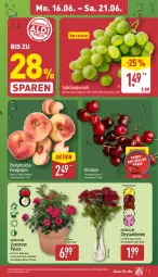Gazetka promocyjna Aldi Nord - Von Montag - Gazetka - ważna od 21.06 do 21.06.2025 - strona 3 - produkty: chrysanthemen, eis, gin, kirsch, kirsche, kirschen, kulturtopf, paraguayos, pfirsich, pfirsiche, pflanze, plattpfirsiche, reis, Ria, Schal, Schale, tafeltrauben, Ti, topf, trauben, übertopf, Vase, Yo, ZTE